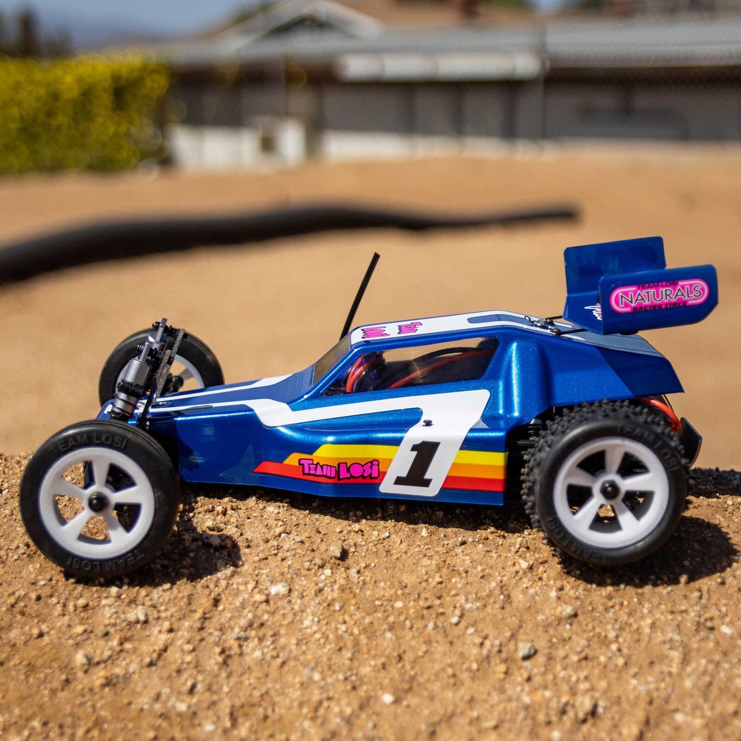 1/16 MINI JRX2 BRUSHED 2WD BUGGY RTR